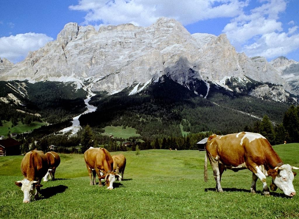 Dolomites Apartments Ciasa Vally St. Kassian Exterior foto